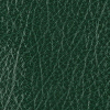 Sample of Skivertex Sanigal Green book cloth