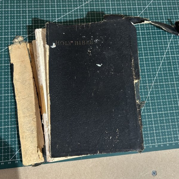 The home of the wolverene_1