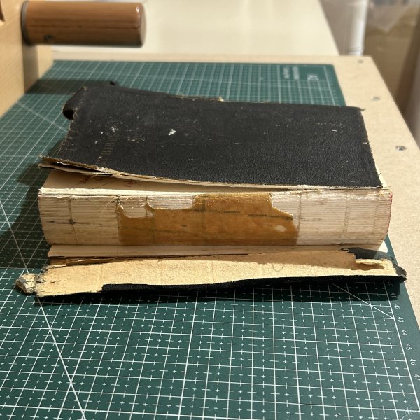 The home of the wolverene_2