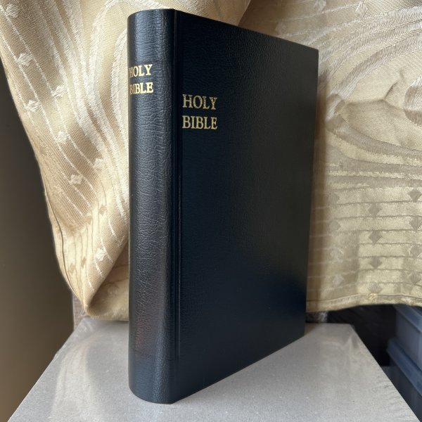 The home of the wolverene_6