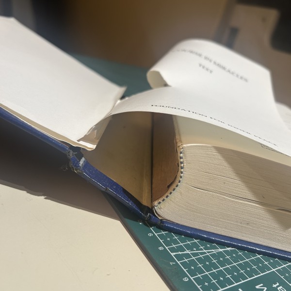 The home of the wolverene_2