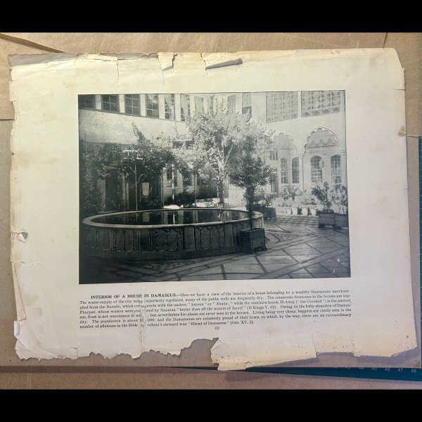 Bible 0 - image 5