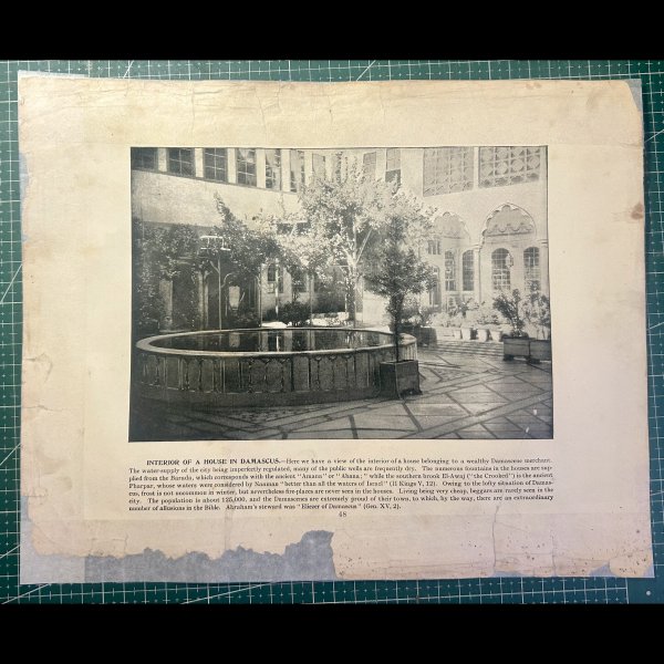 Bible 0 - image 6