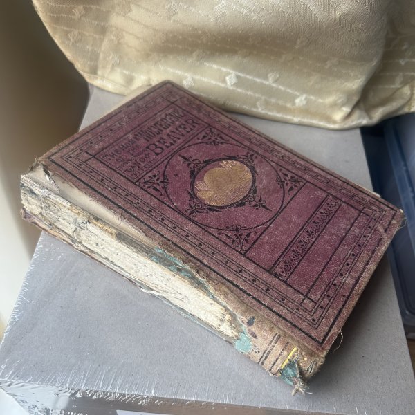 The home of the wolverene_1