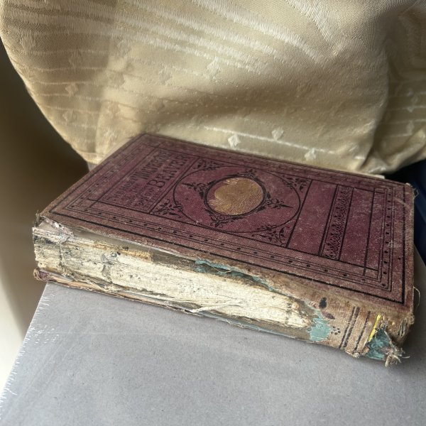 The home of the wolverene_2