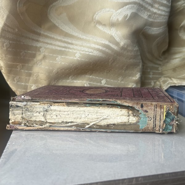 The home of the wolverene_3