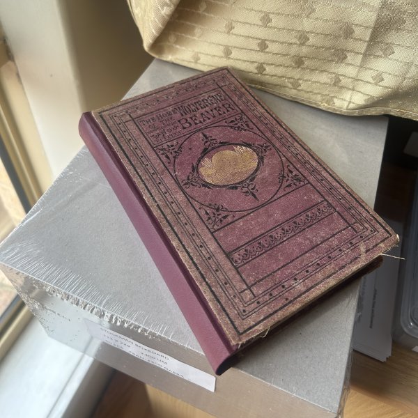 The home of the wolverene_4