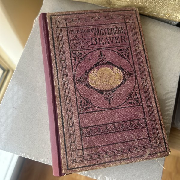 The home of the wolverene_6